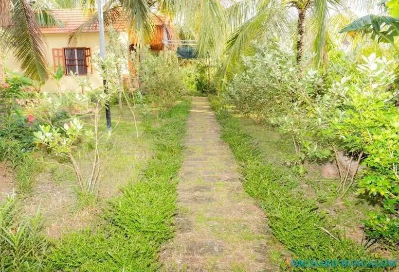 هتل Orchard Fruit Farm Bungalow