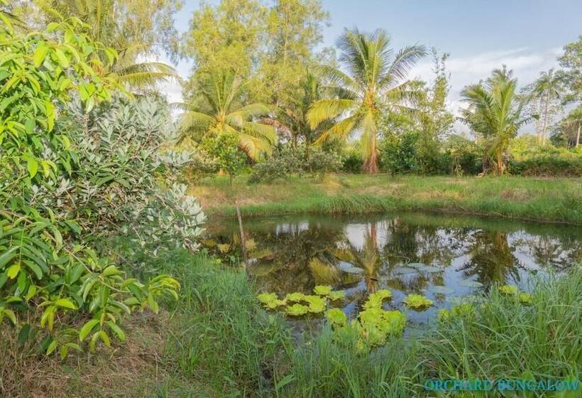 هتل Orchard Fruit Farm Bungalow