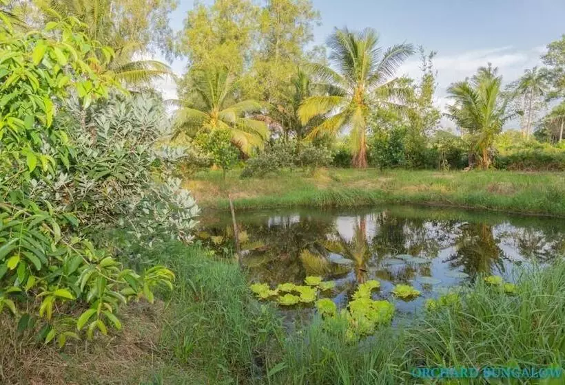 هتل Orchard Fruit Farm Bungalow