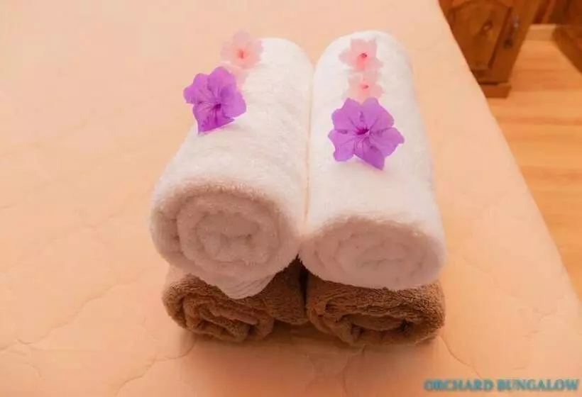 هتل Orchard Fruit Farm Bungalow