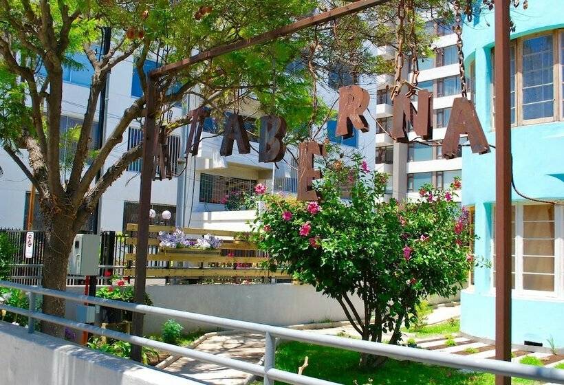 住宿加早餐 Somni Viña