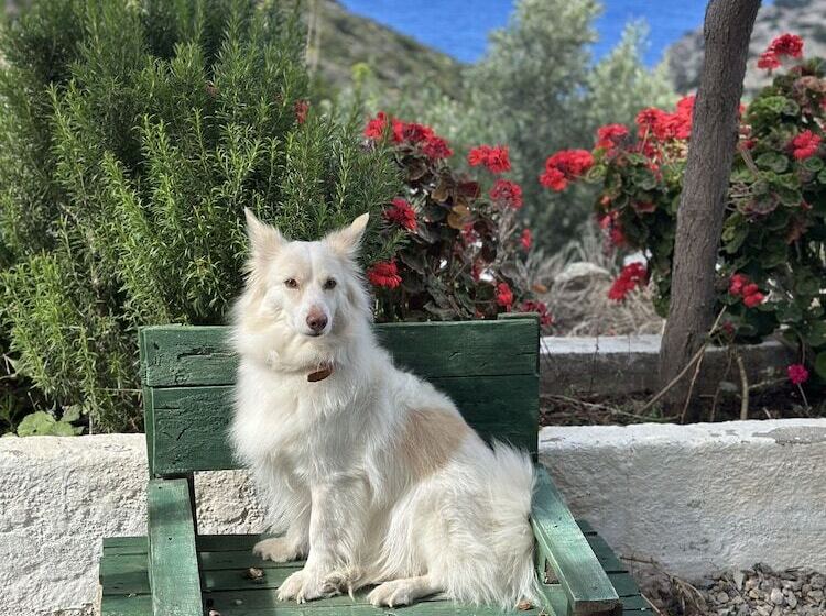 Goknar Knidos Nature Otel Adults Only