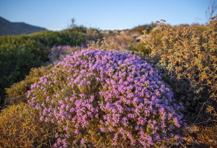 Goknar Knidos Nature Otel Adults Only