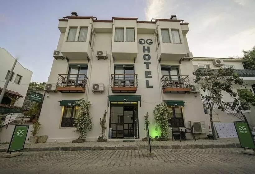هتل The Green Goose