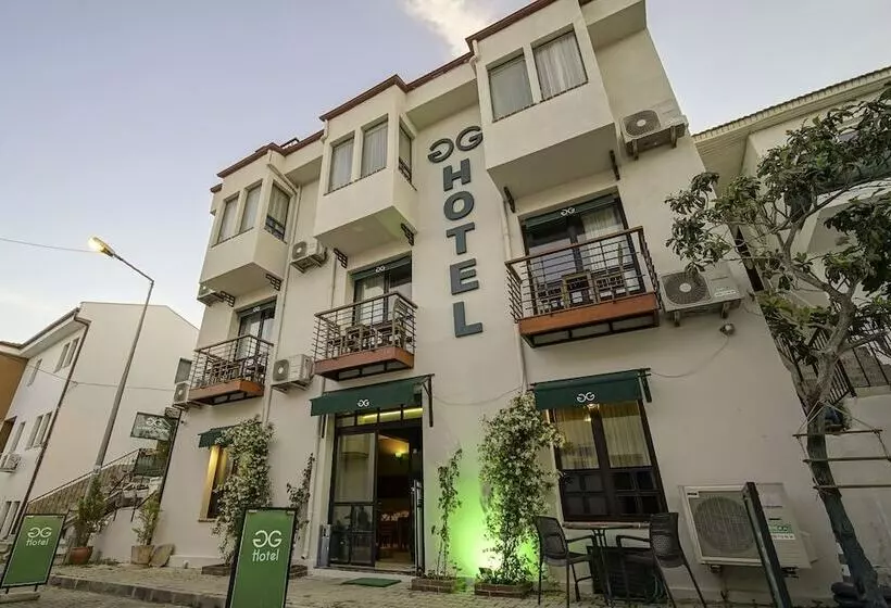 هتل The Green Goose