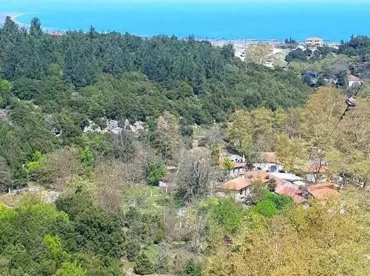 Maira Luxury Studios
