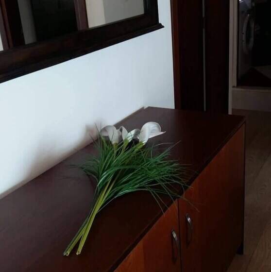 Maira Luxury Studios