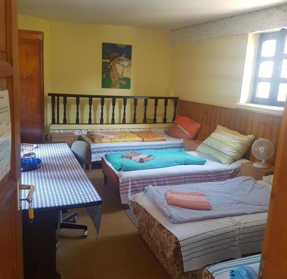 Vandrarhem Muller S Inn