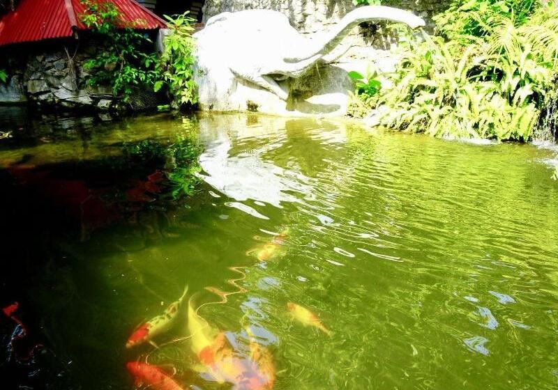 リゾートホテル Starbay Samui