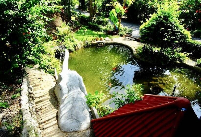 リゾートホテル Starbay Samui