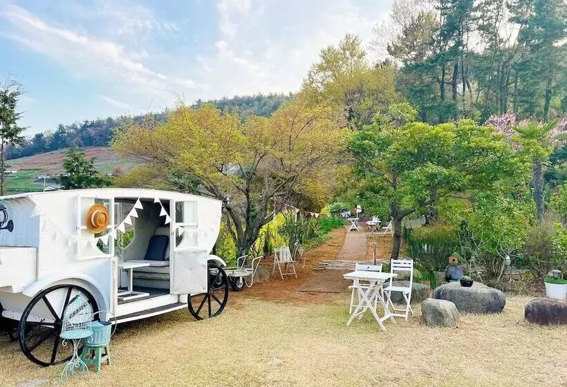 Rest Pension