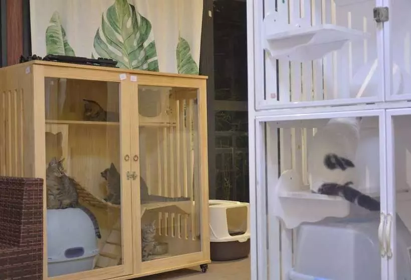 ペンション Shi Guang Homestay