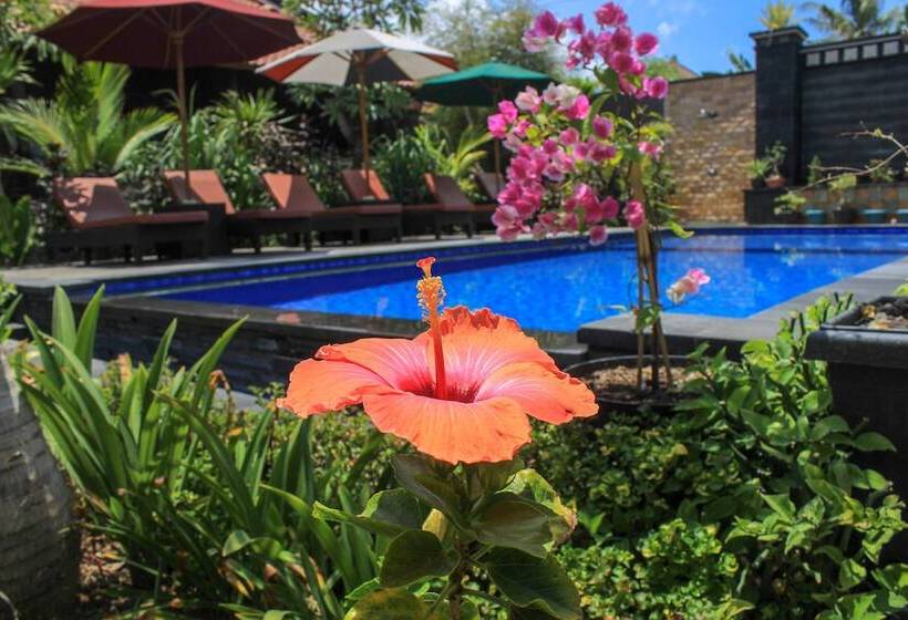 تختخواب و صبحانه Pattri Garden Lembongan