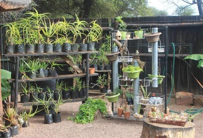 בית מלון כפרי Grootgeluk Bush Camp