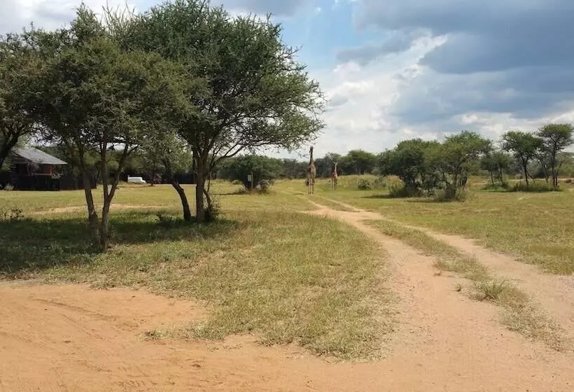 ホテル Grootgeluk Bush Camp