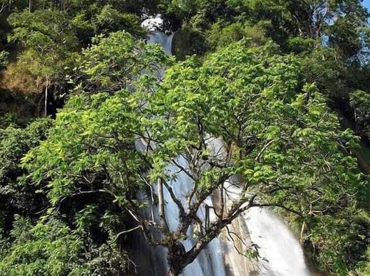 هتل Mr Charles River View Lodge