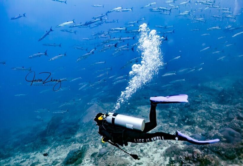 Villa Rodentia 3br Pool Villa