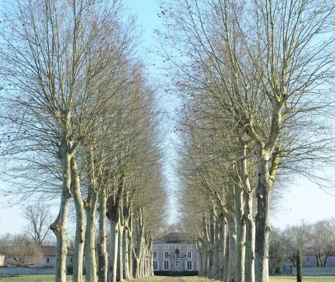 فندق Château Lacaze