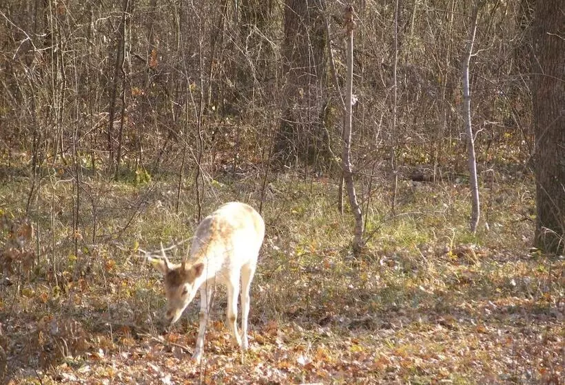 ホテル Château Lacaze
