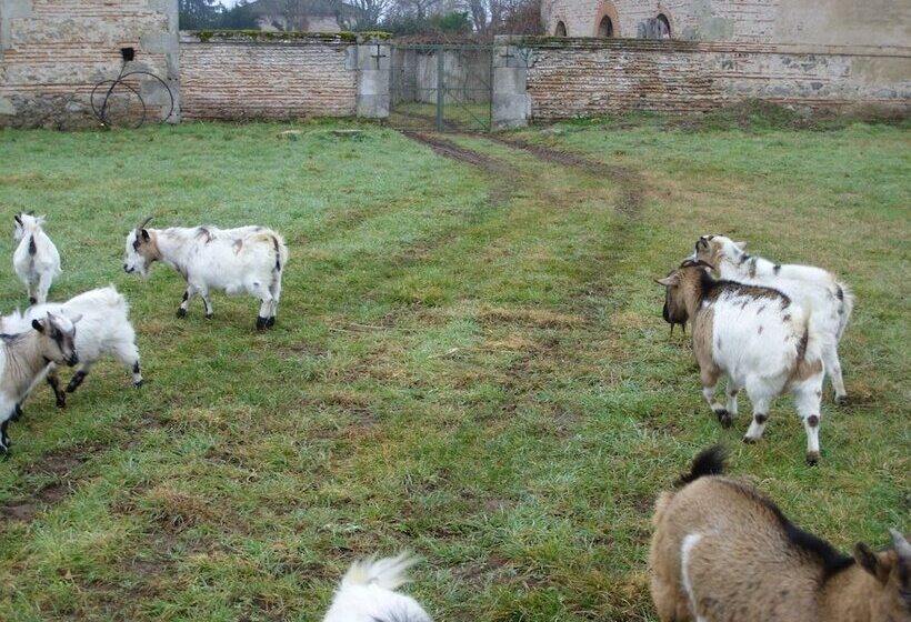 فندق Château Lacaze