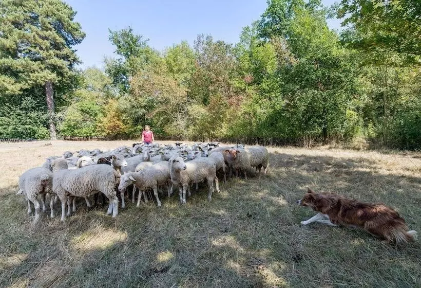 ホテル Château Lacaze
