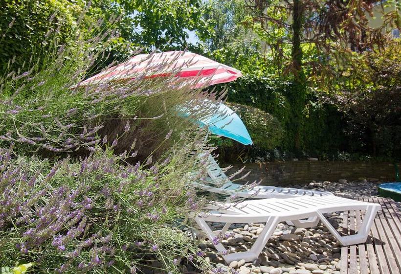 هتل Viva Viktoriya