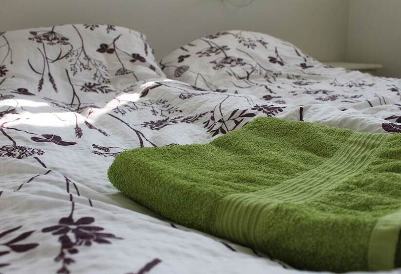 پانسیون Grímstunga Guesthouse