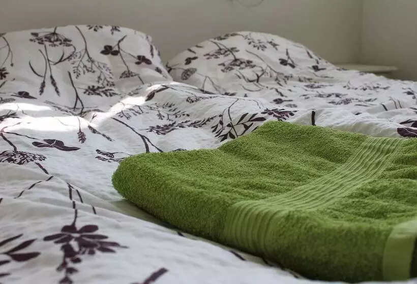 پانسیون Grímstunga Guesthouse