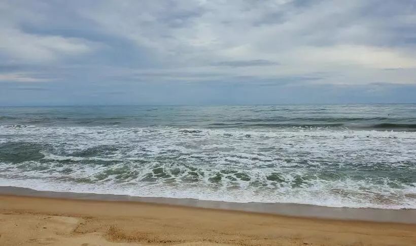 ホテル Surf And Stay Arugam Bay