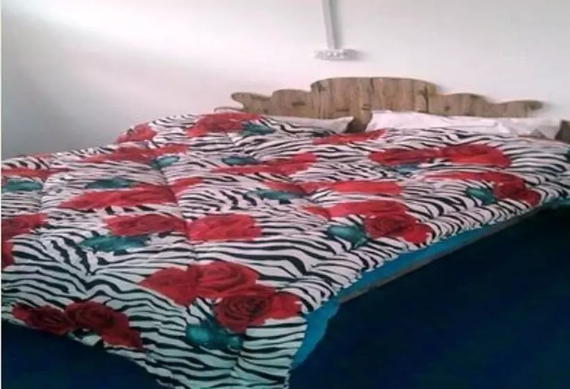 Hotel City Guest House