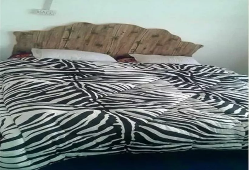 Hotel City Guest House