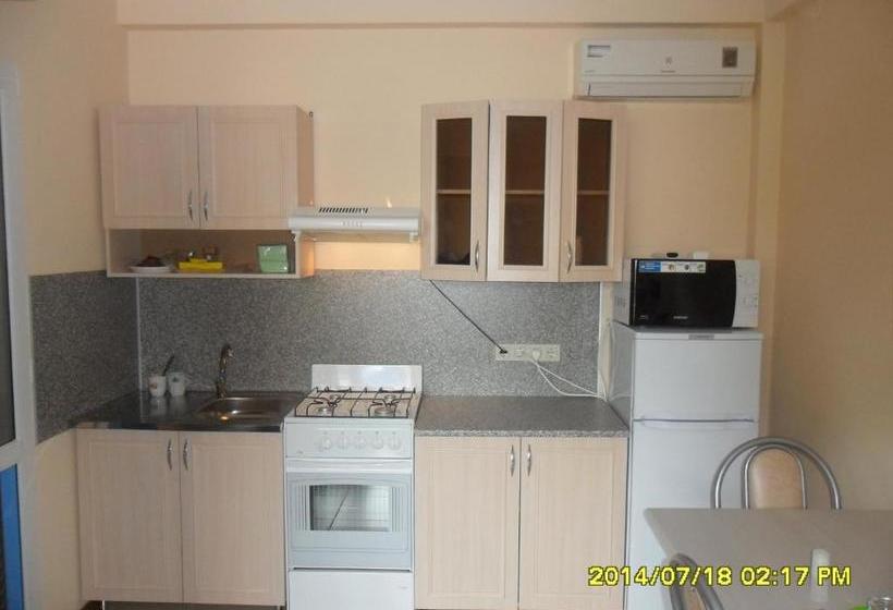 בית מלון כפרי Alina Guest House