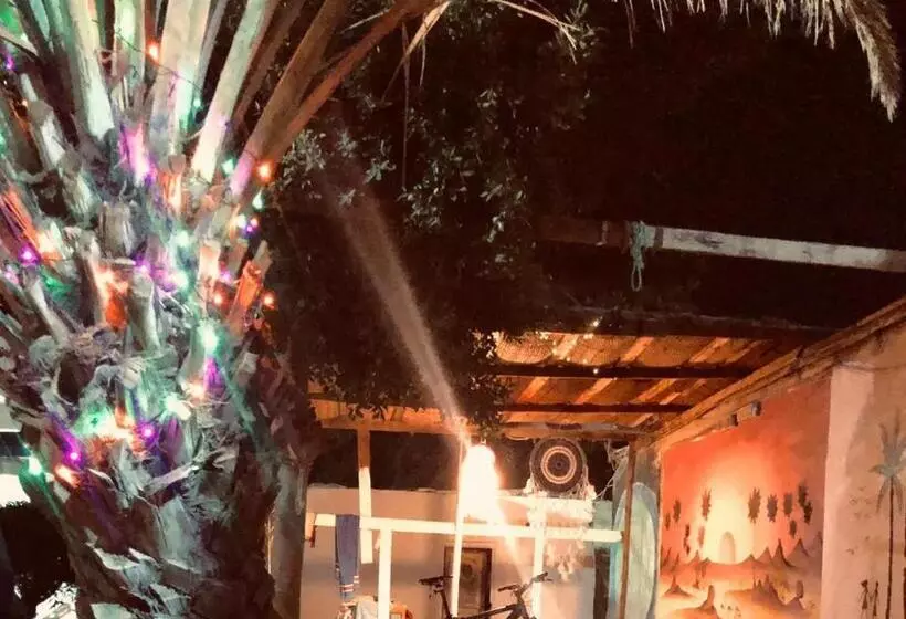 Hotelli Oasis Fighting Kangaroo