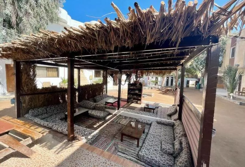 Hotelli Oasis Fighting Kangaroo