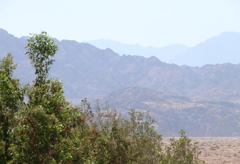 هتل Oasis Fighting Kangaroo