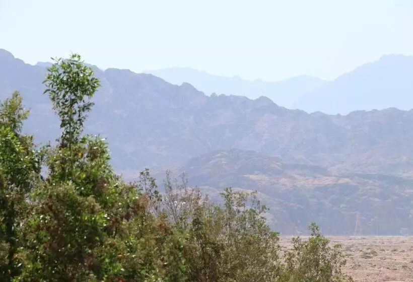 Hotelli Oasis Fighting Kangaroo