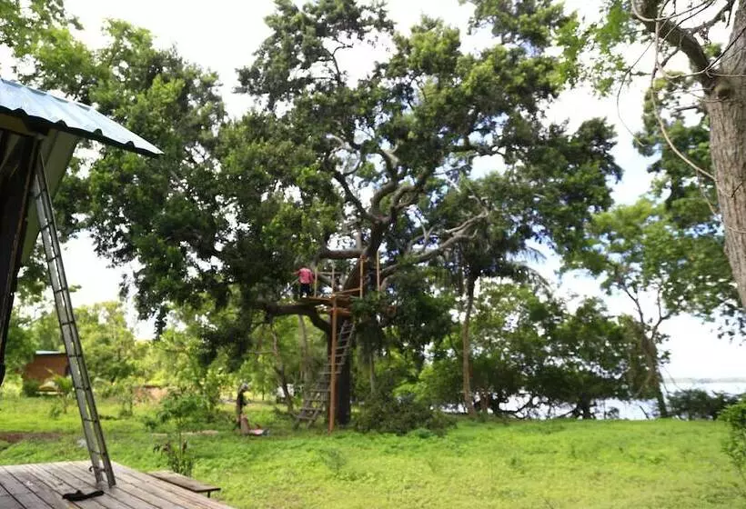 هتل Sandalu Kithulgala