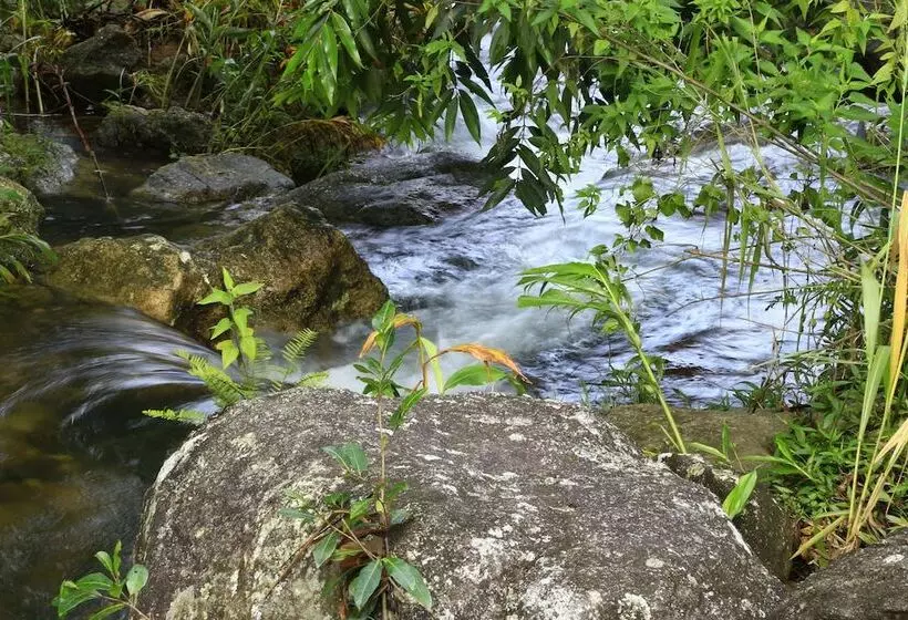 هتل Sandalu Kithulgala