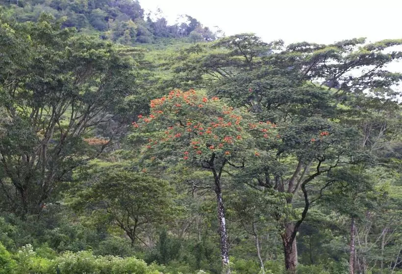 هتل Sandalu Kithulgala