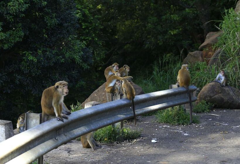Hotel Sandalu Kithulgala