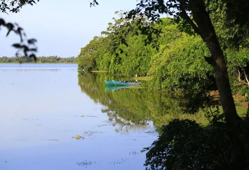 هتل Sandalu Kithulgala