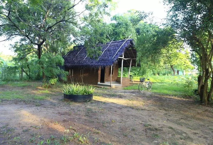 هتل Sandalu Kithulgala