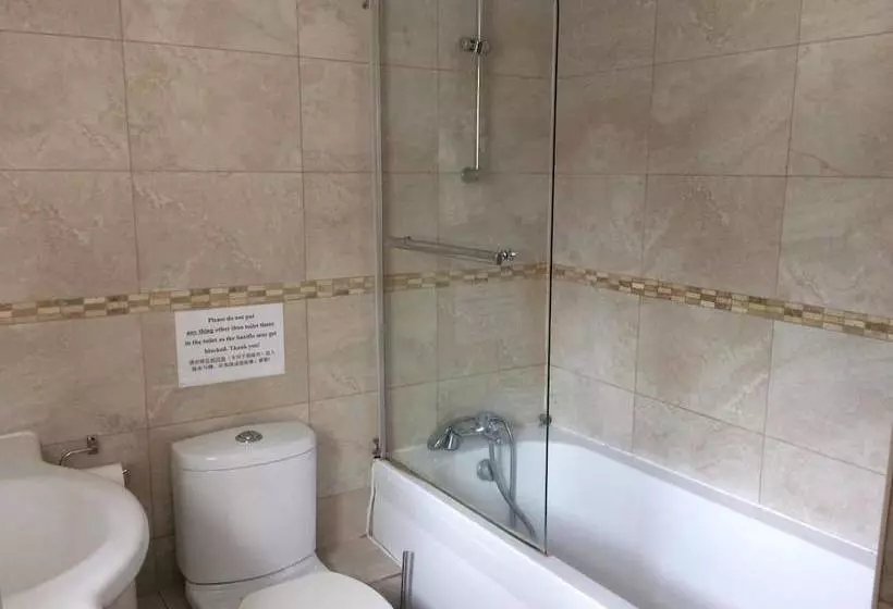 Aamiaismajoitus (B&B) Swan Inn