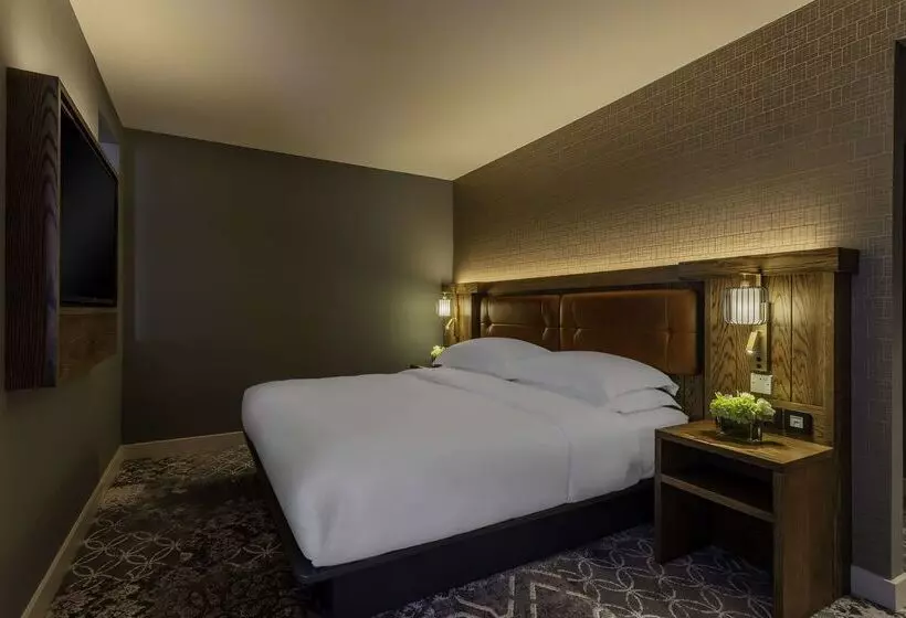 هتل Hyatt Centric The Liberties Dublin