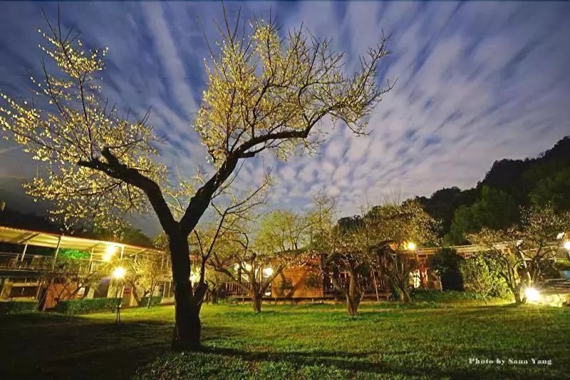 هتل Maylin Resort