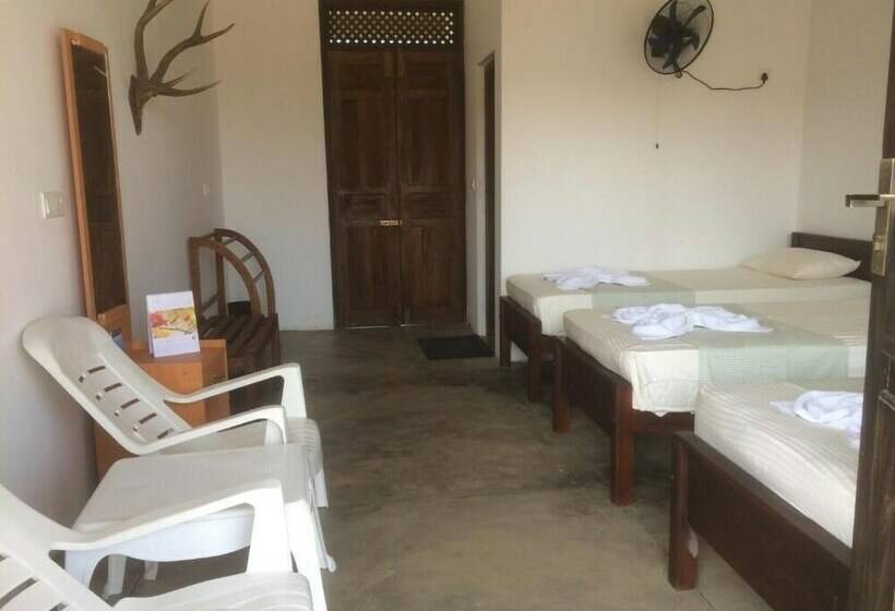 פנסיון Summer Cottage