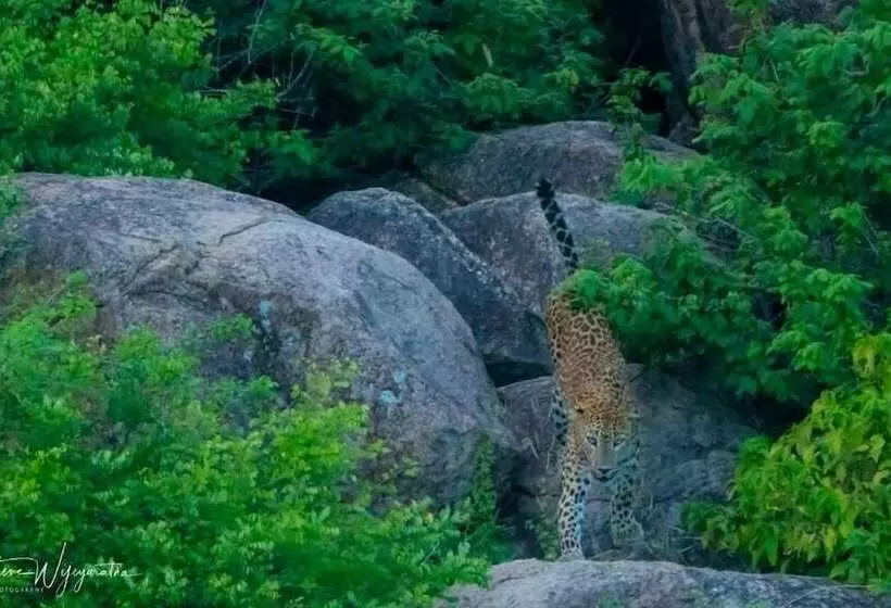 Majatalo Summer Cottage