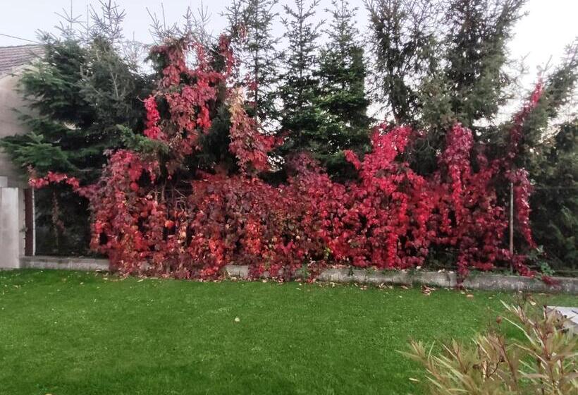 Xlsuite Apartment Deluxe