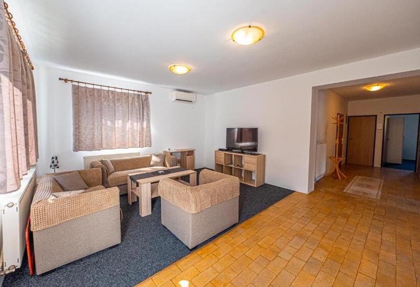 Xlsuite Apartment Deluxe