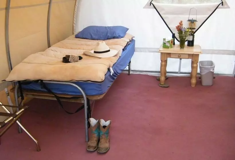 هتل Bedroll And Breakfast  Campground